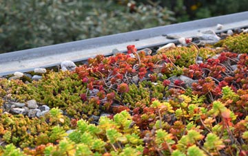 the cost of Bradnocks Marsh green roof installation