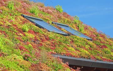 Bradnocks Marsh living roof systems