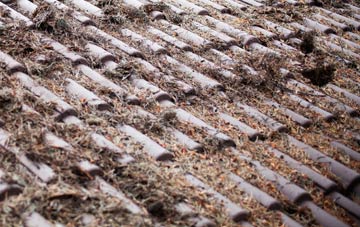 Bradnocks Marsh roof cleaning companies